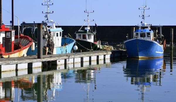 Illustration de l'article Un portail dédié à la formation des métiers maritimes !