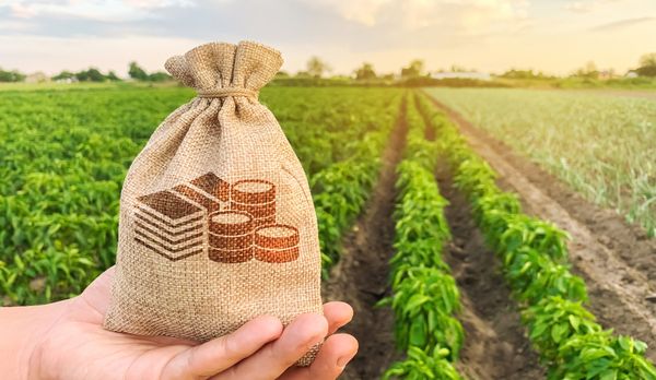 Illustration de l'article Dirigeants agricoles : une nouvelle déclaration de revenus ?