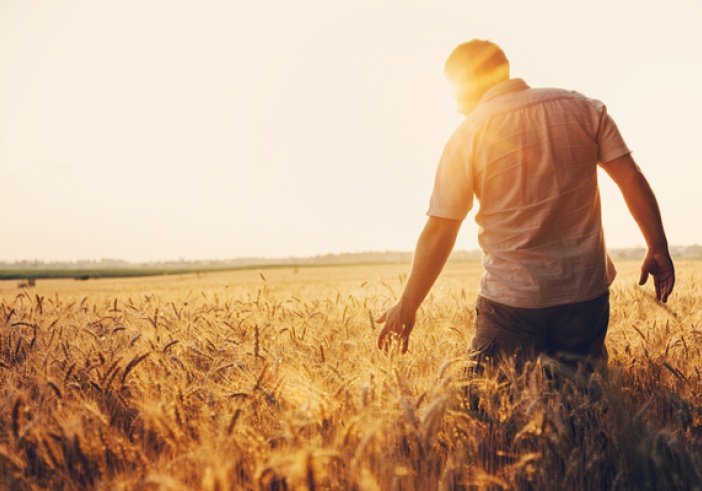 Illustration de l'article : Agriculteurs : du nouveau concernant vos prestations sociales !