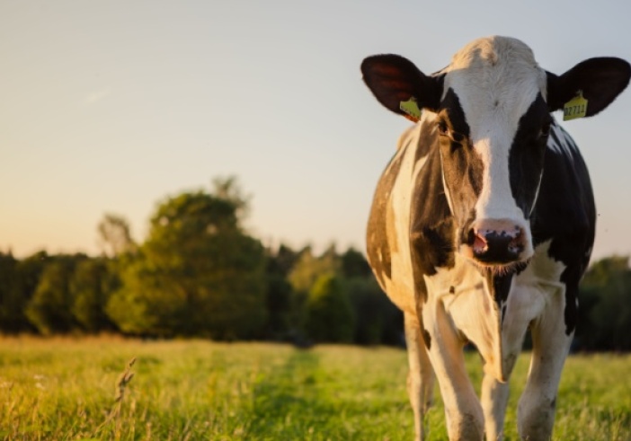 Illustration de l'article : Agriculture : le point sur les mesures d’aide