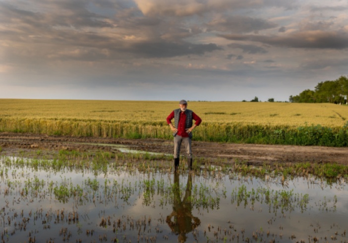 Illustration de l'article : Calamités agricoles 2023 : à épisodes exceptionnels, indemnisation exceptionnelle