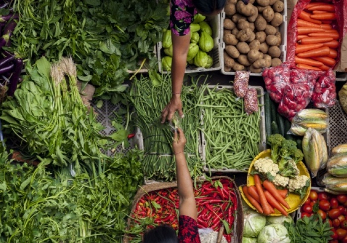 Illustration de l'article : Loi sur la stabilité économique et la compétitivité du secteur agroalimentaire : quelles nouveautés ?