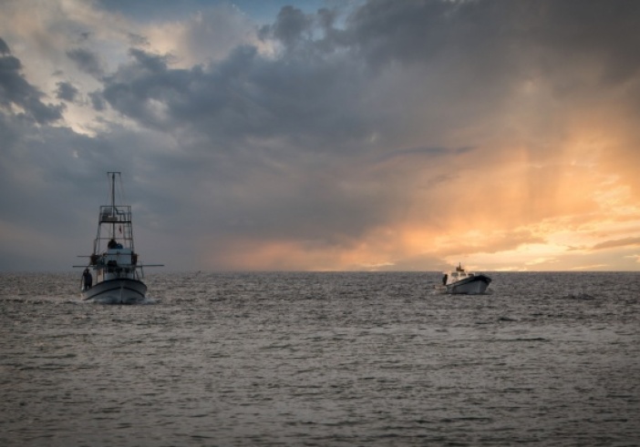Illustration de l'article : Licence de pêche européenne : rester actif pour conserver ses droits