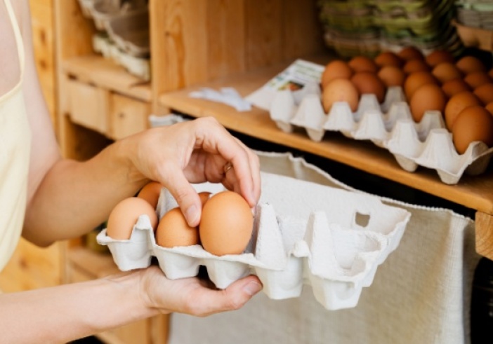 Illustration de l'article : Commercialisation des œufs : précisions pour le marché français