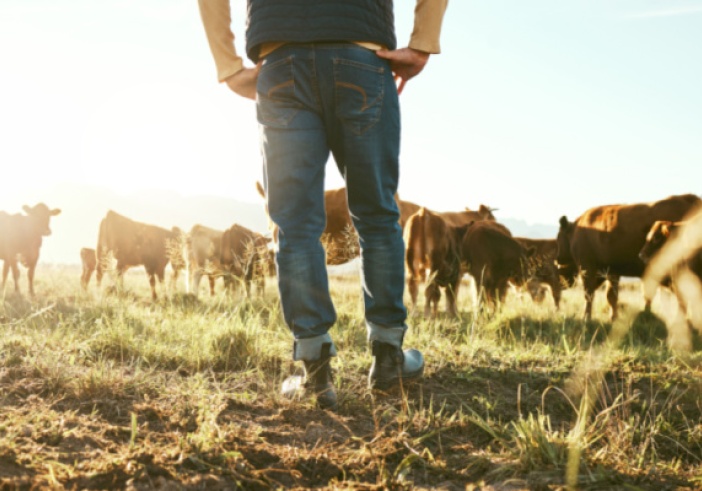 Illustration article : Agriculture : un début d’année 2024 dense
