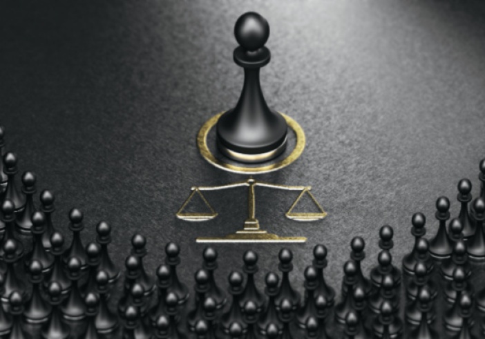 Illustration de l'article : Mieux comprendre l'action représentative