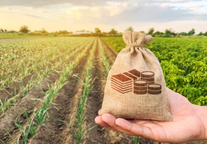 Illustration de l'article : Jeunes agriculteurs : du nouveau du côté des exonérations sociales !