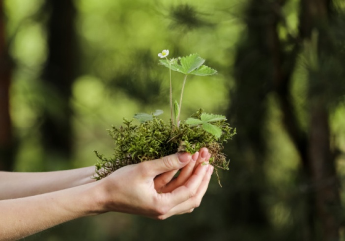 Illustration article : Environnement : une mise au vert nécessaire !