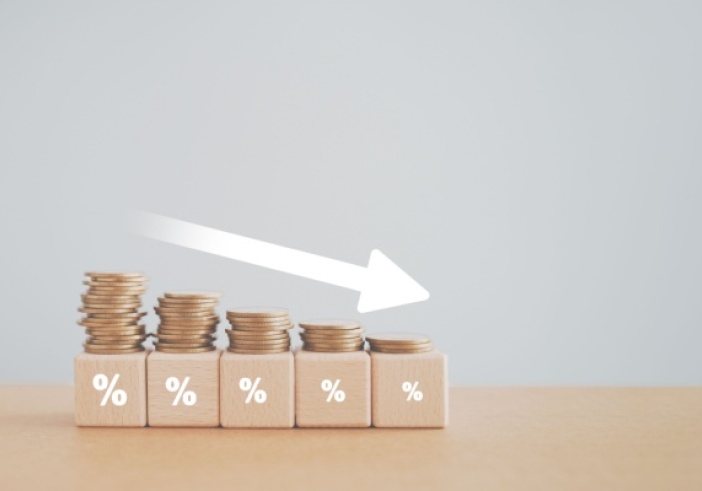 Illustration article : Nouvelle taxe sur les réductions de capital : conforme à la Constitution ?