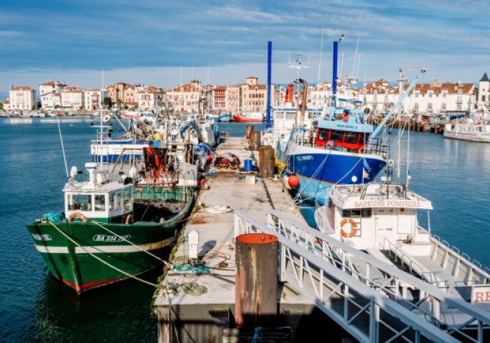 Illustration de l'article : Retour de pêche : des obligations déclaratives à respecter