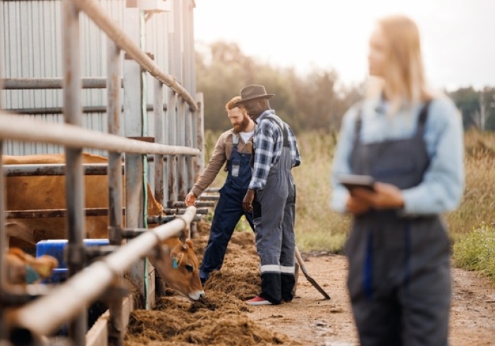 Illustration de l'article : Maladies professionnelles agricoles : les conditions de diagnostic sont simplifiées