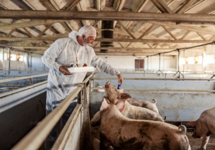 Illustration article : Tuberculose dans les élevages : évolution des mesures de contrôle