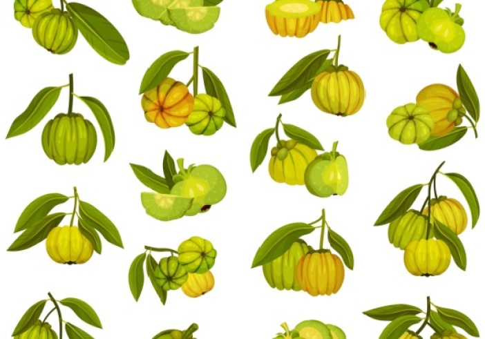 Illustration de l'article : Garcinia cambogia : une interdiction temporaire toujours d’actualité ?