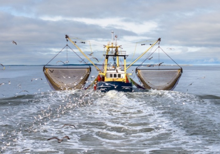Illustration de l'article : Déclaration des activités de pêche : passage à la déclaration électronique ?