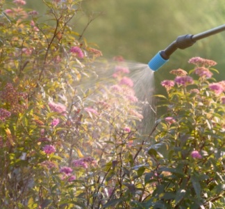 Illustration article : Produits phytosanitaires : réduction et contrôle de leur utilisation