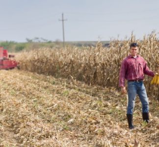Illustration article : Installation d’un agriculteur : l’âge (ne) fait (pas) tout ?
