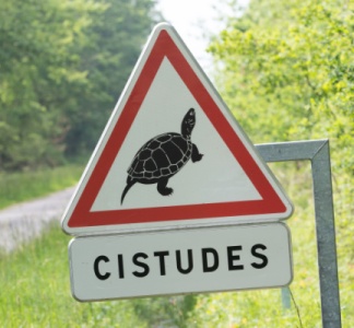 Illustration article : Travaux en zone Natura 2000 = destruction d’habitat d’espèce protégée ?