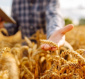 Illustration article : Cotisations agricoles : du nouveau pour le calcul en 2027