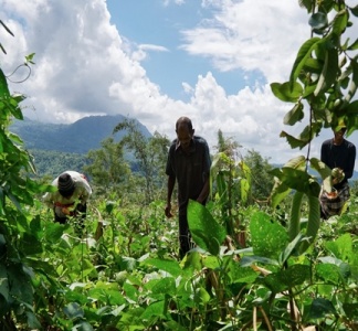 Illustration article : Exploitants agricoles ultramarins : évolution de l’exonération des cotisations sociales