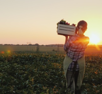 Illustration article : Agriculteurs : des évolutions juridiques à connaître