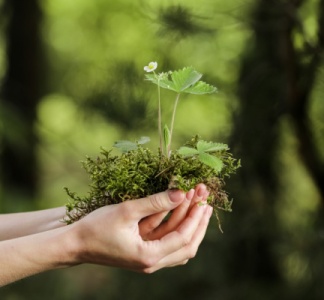 Illustration article : Environnement : une mise au vert nécessaire !