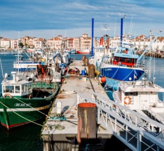 Illustration article : Retour de pêche : des obligations déclaratives à respecter