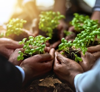 Illustration article : Soutien aux exploitations agricoles en difficultés : des aides possibles