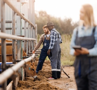 Illustration article : Maladies professionnelles agricoles : les conditions de diagnostic sont simplifiées