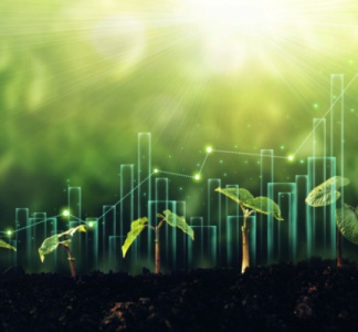 Illustration article : Environnement : votre entreprise est-elle « vertueuse » ?