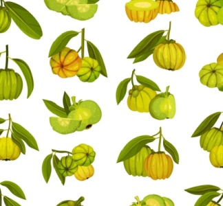 Illustration article : Garcinia cambogia : une interdiction temporaire toujours d’actualité ?