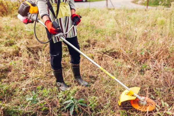 Illustration de l'actualité Incendies de forêt : plus d’informations pour une meilleure prévention !