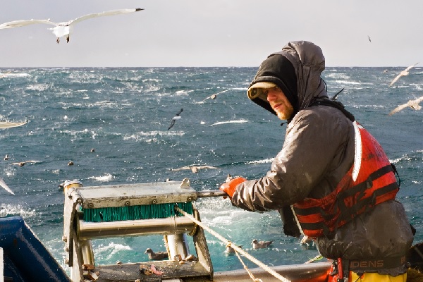 Illustration de l'actualité Vente de poissons destinés à la pêche : quel taux de TVA appliquer ?