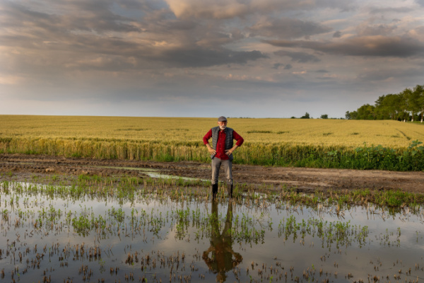 Illustration de l'actualité Calamités agricoles 2023 : à épisodes exceptionnels, indemnisation exceptionnelle