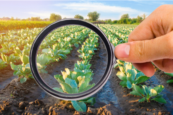 Illustration de l'actualité Plan de soutien aux industries agroalimentaires : que contient-il ?