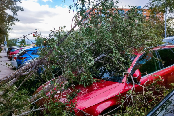 Illustration de l'actualité Tempête Ciaran : l’État vole au secours des entrepreneurs