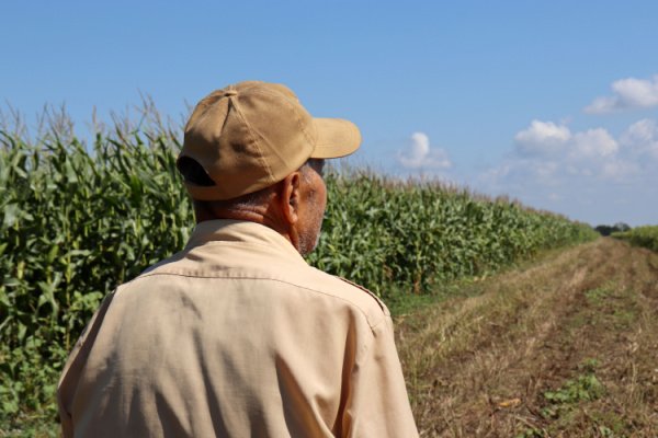 Illustration de l'actualité Bail rural : le consentement du bailleur en question…