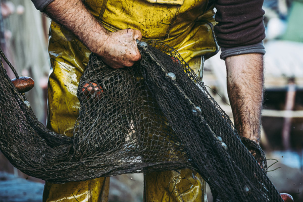 Illustration de l'actualité Pêcheurs : une réglementation qui se renforce…