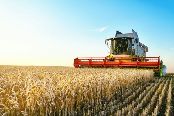 Illustration de l'actualité Métiers en tension : l’ajout (attendu) des métiers agricoles