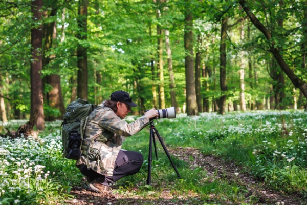 Illustration de l'actualité Photographe professionnel : attention au taux de TVA applicable !