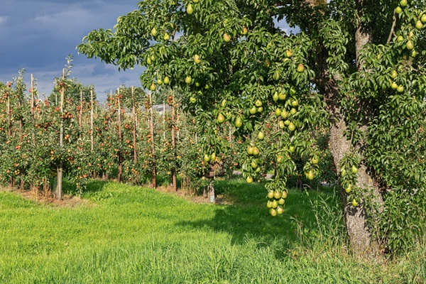 Illustration de l'actualité Aides aux agriculteurs : les soldes pour la campagne 2023 connus