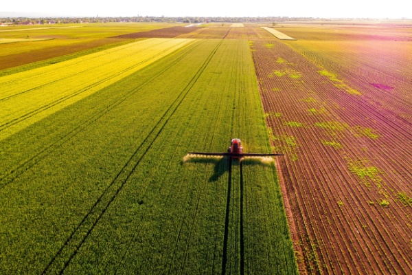 Illustration de l'actualité Perte de récolte des agriculteurs : des mesures de soutien annoncées