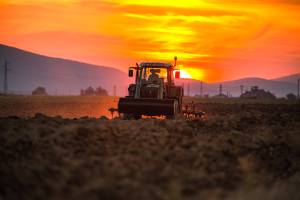 Illustration de l'actualité Politique agricole commune (PAC) : des précisions pour l’outre-mer