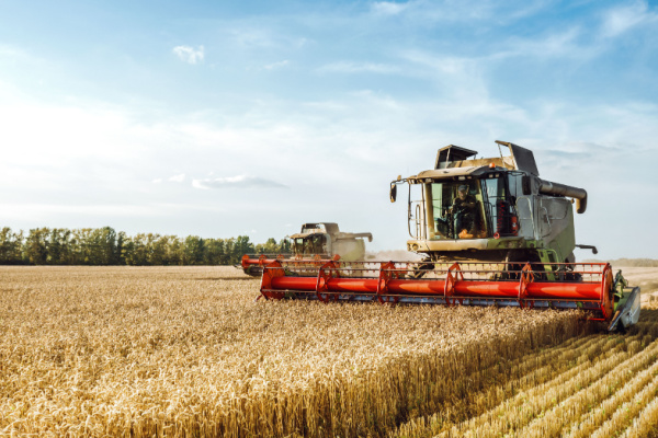 Illustration de l'actualité Vente d’entreprise agricole : le statut, ça compte ! 