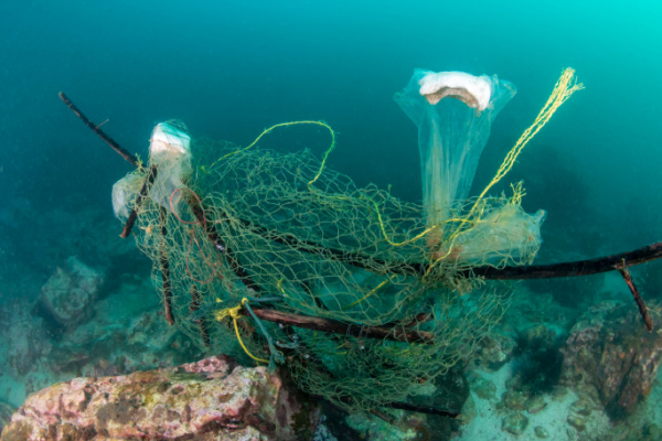 Illustration de l'actualité Pêche durable : création d’une plateforme web pour mieux informer les pêcheurs