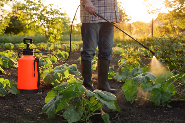 Illustration de l'actualité Pesticides : rappels utiles sur la réglementation