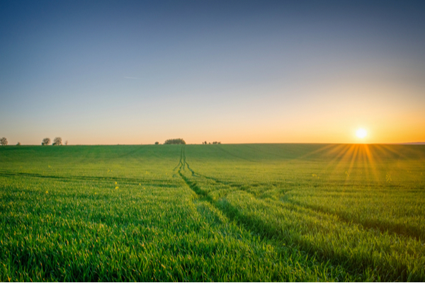 Illustration de l'actualité Zones agricoles : sont-elles réservées aux activités agricoles ?