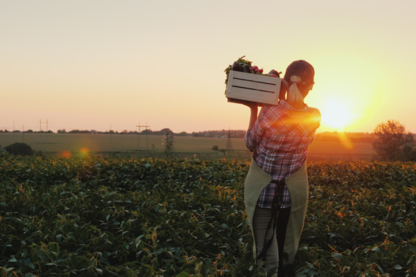 Illustration de l'actualité Agriculteurs : des évolutions juridiques à connaître