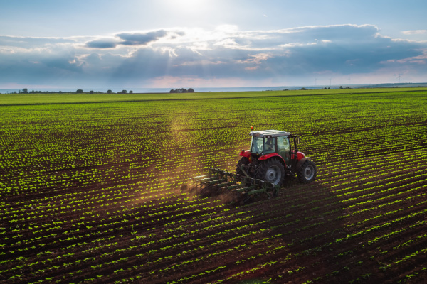 Illustration de l'actualité Artificialisation des terres agricoles : la faute à la pression fiscale ? 