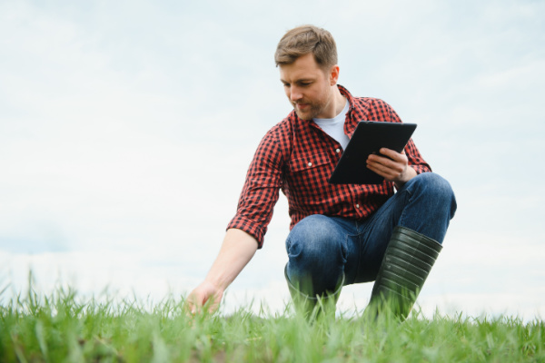 Illustration de l'actualité Aide complémentaire au revenu pour les jeunes agriculteurs : quel montant pour 2023 ?