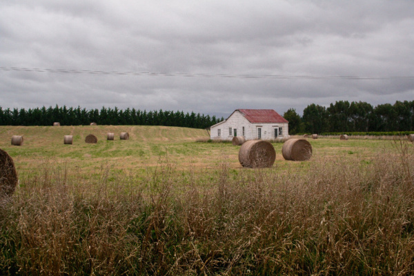 Illustration de l'actualité Bail rural : une résiliation toujours possible ?